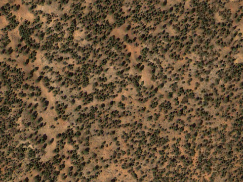  沙土地面 地表 土地 龟裂裂纹泥土农田 