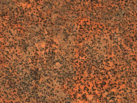  沙土地面 地表 土地 龟裂裂纹泥土农田 