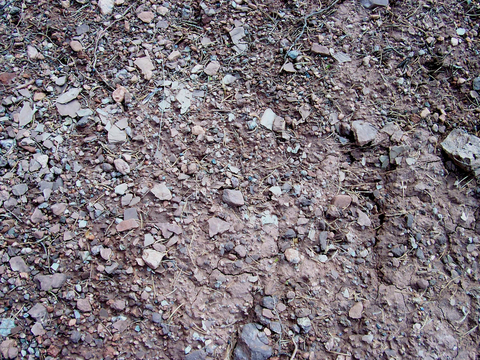  沙土地面 地表 土地 龟裂裂纹泥土农田 