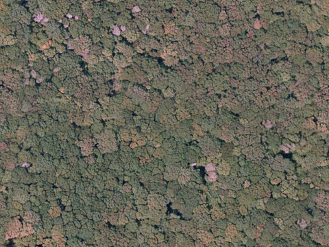  沙土地面 地表 土地 龟裂裂纹泥土农田 