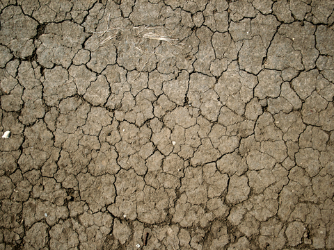 沙土地面 地表 土地 龟裂裂纹泥土农田