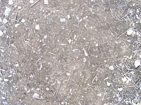 沙土地面 地表 土地 龟裂裂纹泥土农田