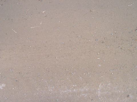  沙土地面 地表 土地 龟裂裂纹泥土农田 