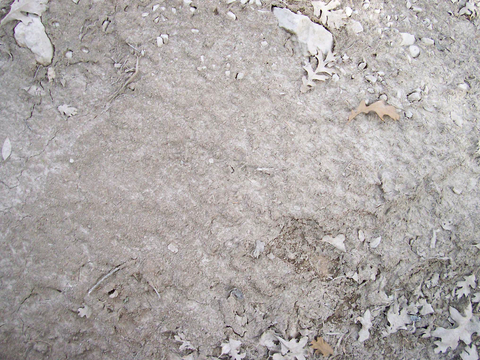  沙土地面 地表 土地 龟裂裂纹泥土农田 