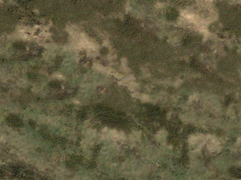  沙土地面 地表 土地 龟裂裂纹泥土农田 