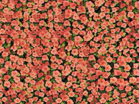 草地 草皮 地面 地表 俯视绿地 森林 苔藓 花草 花卉鲜花