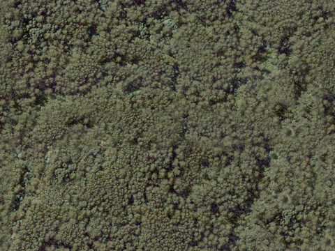  沙土地面 地表 土地 龟裂裂纹泥土农田 