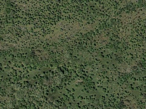  沙土地面 地表 土地 龟裂裂纹泥土农田 