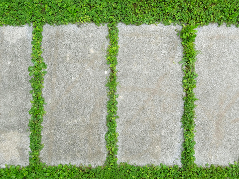 植草砖 草坪砖 停车砖 户外石头汀步 石头间隙植草砖草坪铺装