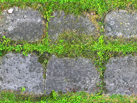 植草砖 草坪砖 停车砖 户外石头汀步 石头间隙植草砖草坪铺装