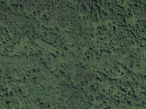  沙土地面 地表 土地 龟裂裂纹泥土农田 