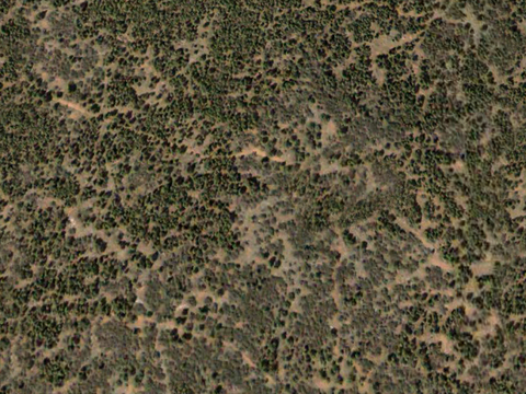  沙土地面 地表 土地 龟裂裂纹泥土农田 