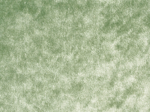 草地 草皮 地面 地表 俯视绿地 森林 苔藓 花草 花卉鲜花