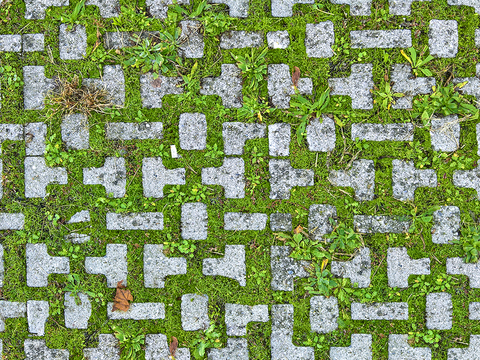 植草砖 草坪砖 停车砖 户外石头汀步 石头间隙植草砖草坪铺装