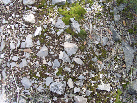  沙土地面 地表 土地 龟裂裂纹泥土农田 
