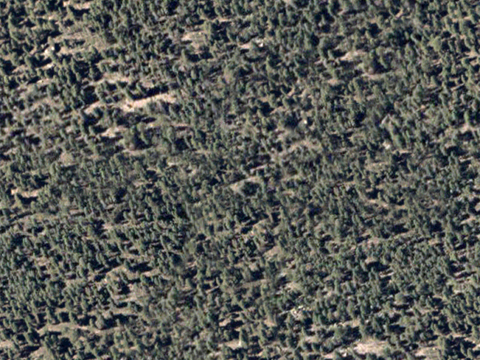  沙土地面 地表 土地 龟裂裂纹泥土农田 