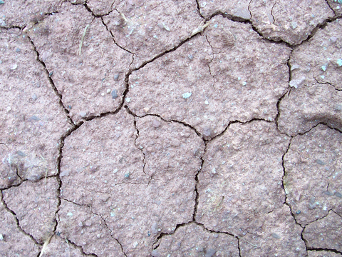  沙土地面 地表 土地 龟裂裂纹泥土农田 