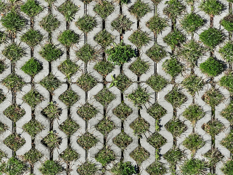 植草砖 草坪砖 停车砖 户外公园石头汀步 石头间隙植草砖铺装