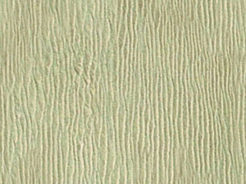  沙土地面 地表 土地 龟裂裂纹泥土农田 