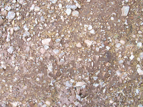  沙土地面 地表 土地 龟裂裂纹泥土农田 