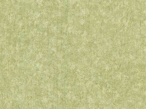 草地 草皮 地面 地表 俯视绿地 森林 苔藓 花草 花卉鲜花