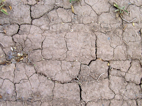 沙土地面 地表 土地 龟裂裂纹泥土农田