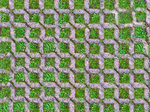 植草砖 草坪砖 停车砖 户外石头汀步 石头间隙植草砖草坪铺装