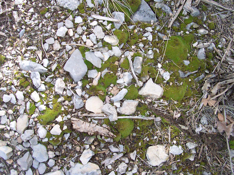 沙土地面 地表 土地 龟裂裂纹泥土农田