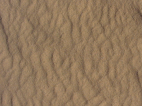  沙土地面 地表 土地 龟裂裂纹泥土农田 