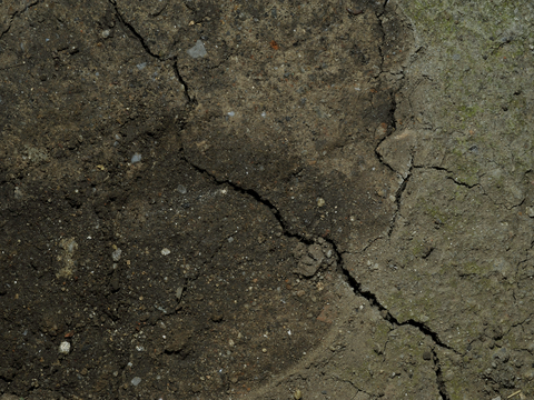 沙土地面 地表 土地 龟裂裂纹泥土农田