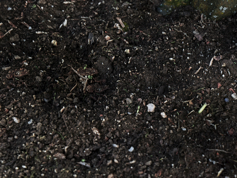 沙土地面 地表 土地 龟裂裂纹泥土农田