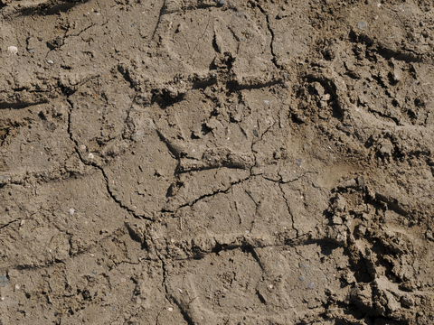 沙土地面 地表 土地 龟裂裂纹泥土农田