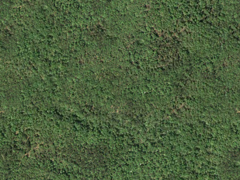  沙土地面 地表 土地 龟裂裂纹泥土农田 