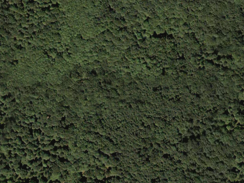  沙土地面 地表 土地 龟裂裂纹泥土农田 