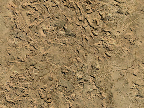  沙土地面 地表 土地 龟裂裂纹泥土农田 