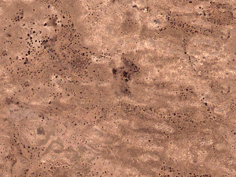  沙土地面 地表 土地 龟裂裂纹泥土农田 