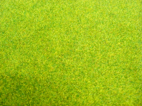 草地 草皮 地面 地表 俯视绿地 森林 苔藓 花草 花卉鲜花