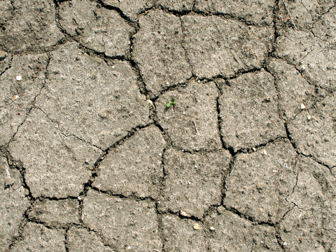 沙土地面 地表 土地 龟裂裂纹泥土农田