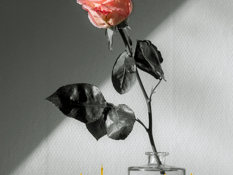 现代抽象画 背景装饰画 艺术画 精裱框画 吉祥挂画 水墨油画