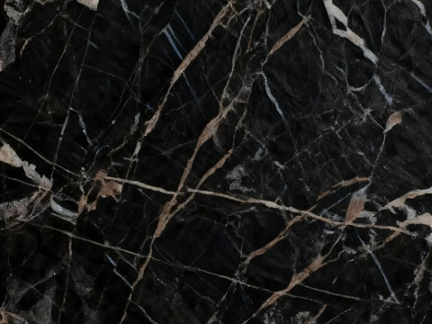 现代轻奢 黑金大理石 黑色大理石瓷砖岩板 黑白根大理石