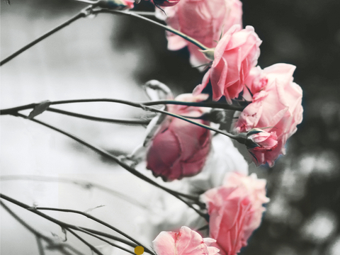 现代抽象画 背景装饰画 艺术画 精裱框画 吉祥挂画 水墨油画