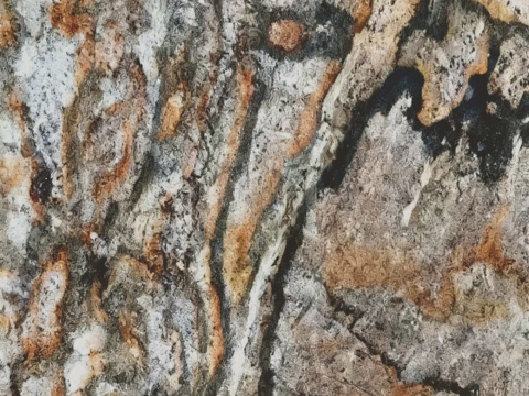 现代轻奢 棕色虎皮纹大理石瓷砖岩板 棕色大理石 木纹大理石