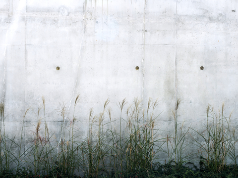 墙面涂鸦 围墙涂鸦 油彩墙面 旧墙面 水泥斑驳墙面艺术漆涂料