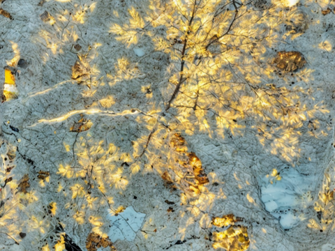 新中式玄关大理石 奢石 意式大理石 透光石 银杏透光石