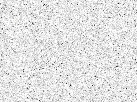 现代芝麻白花岗岩