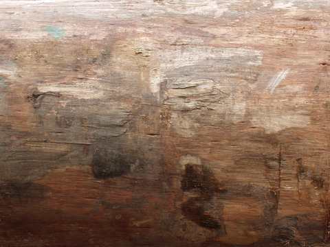 树皮 树干 木头 残旧木纹 木材 木柴 树枝