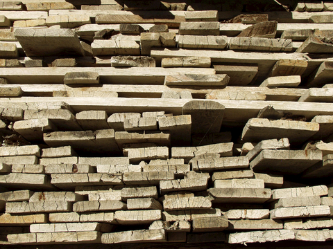 树木 年轮 木桩 树干 木头 残旧木纹 木材  干木柴 树根