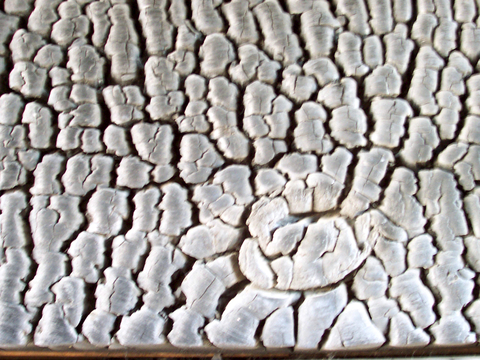 树皮 树干 木头 残旧木纹 木材 木柴 树枝