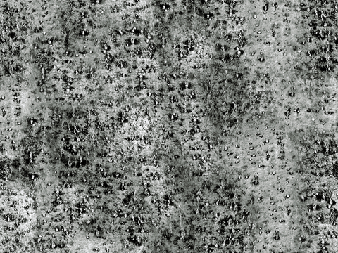 树皮 树干 木头 残旧木纹 木材 木柴 树枝