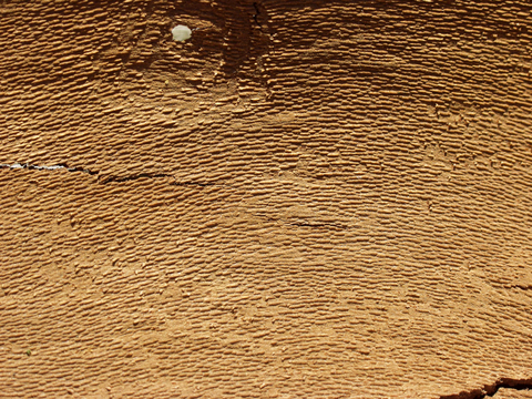  树皮 树干 木头 残旧木纹 木材 木柴 树枝 木柴 树根 